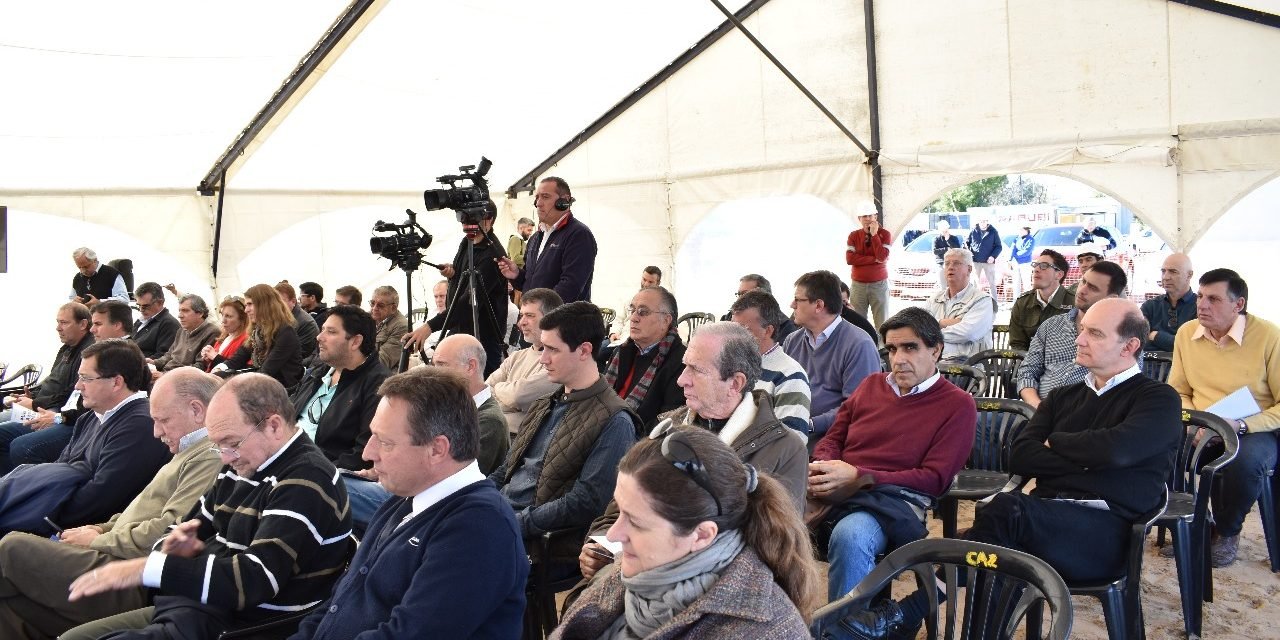 WhatsApp Image 2017-06-13 at 13.38.39