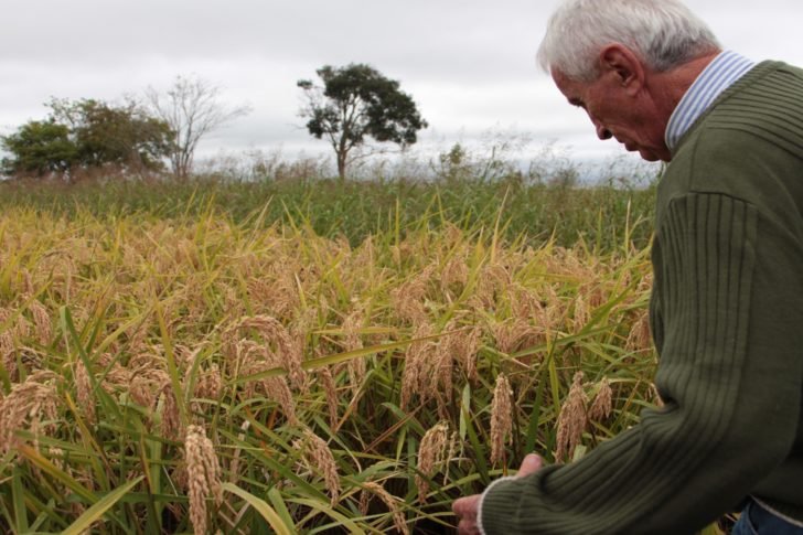 Producción santa fe