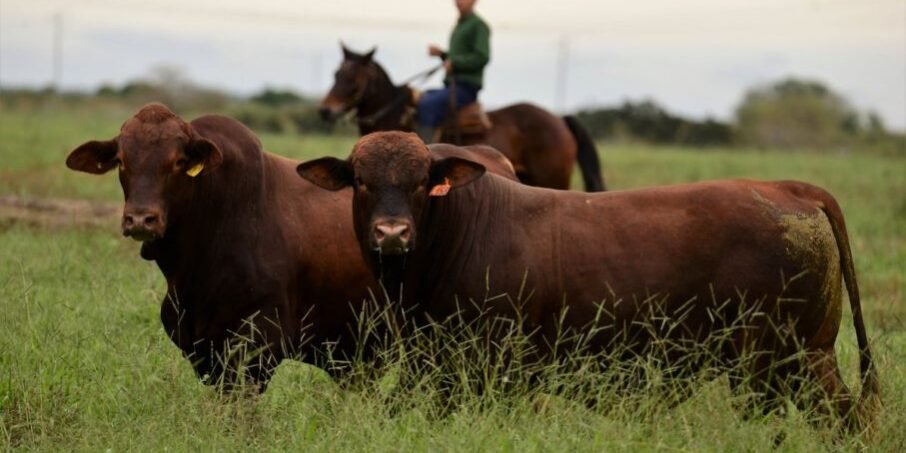 Los gobiernos nacional y provincial convocan a productores para proyectos de inversión en micropymes Los gobiernos nacional y provincial convocan a productores para proyectos de inversión en micropymes